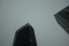 DSC00172