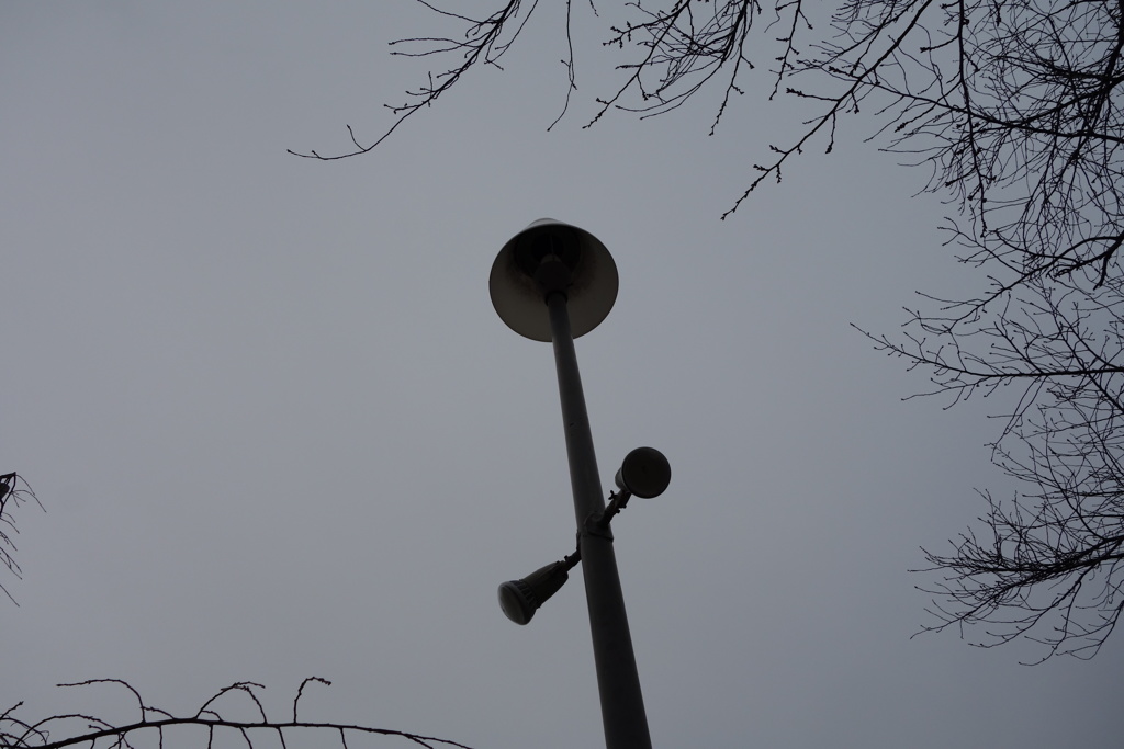 DSC00094