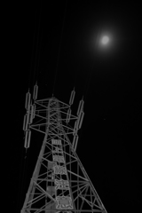 DSC00218