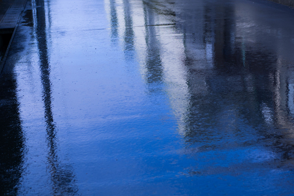 雨上がりに