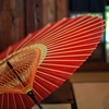 japanese umbrella ⅱ