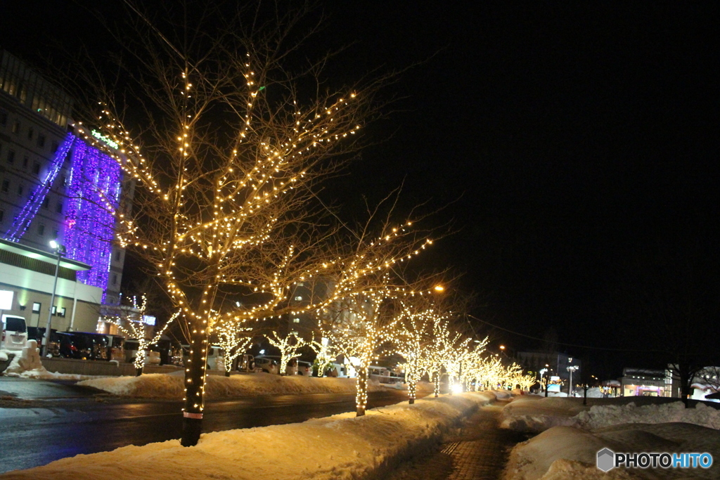 イルミネーション