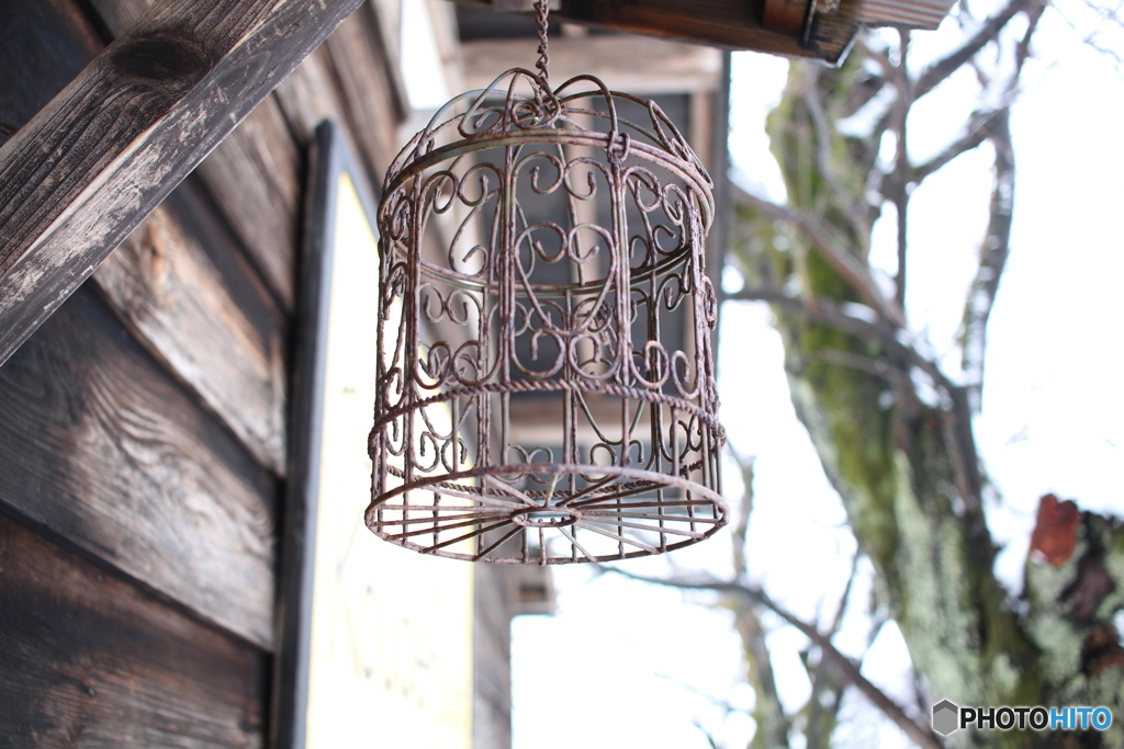 鳥籠