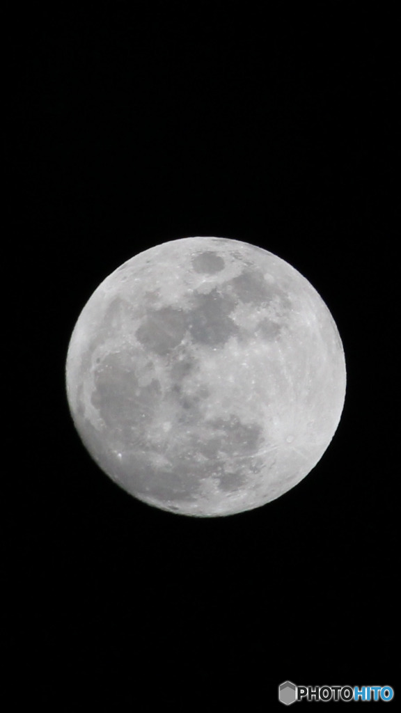 満月