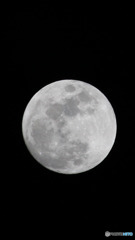 満月