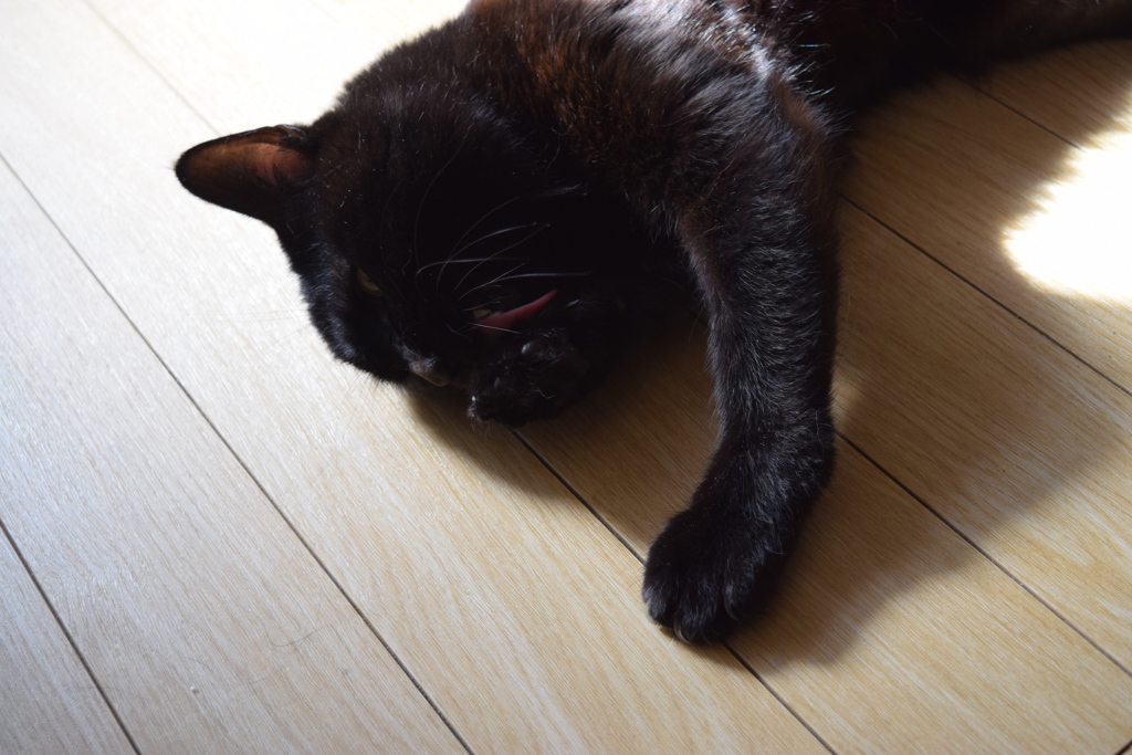 風呂