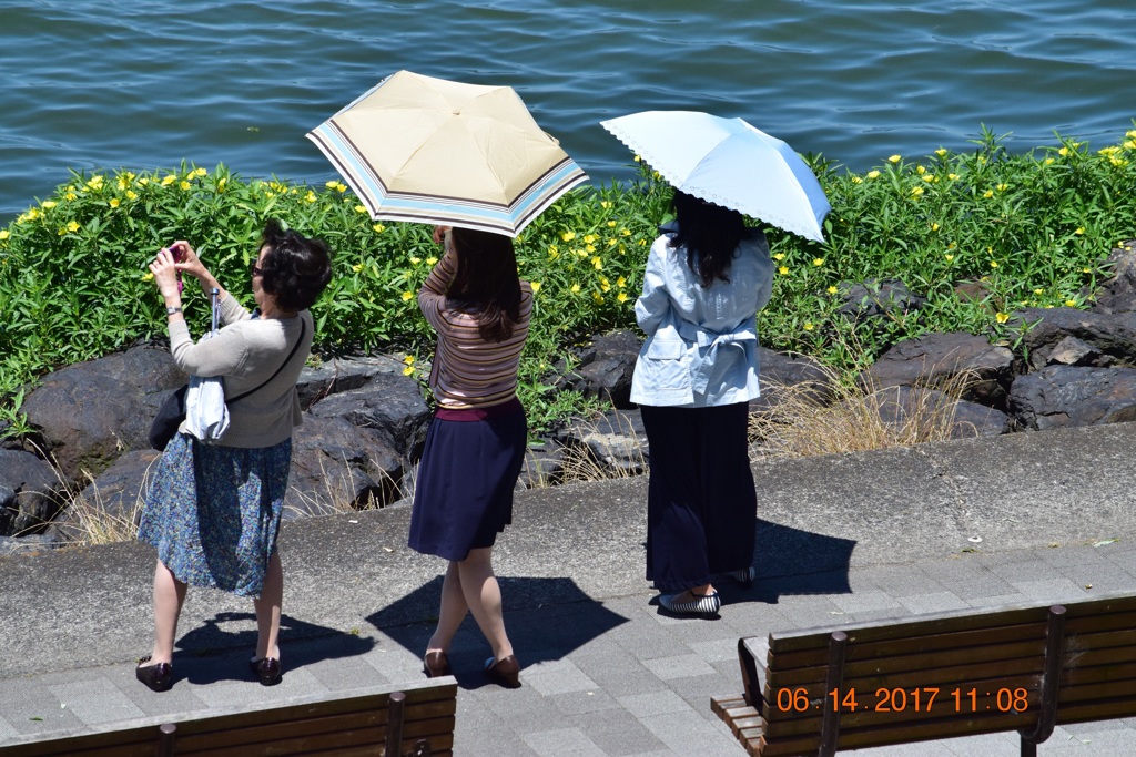 びわ湖畔のひとたち　DSC_0883