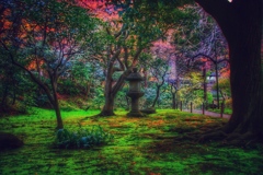 Mysterious forest