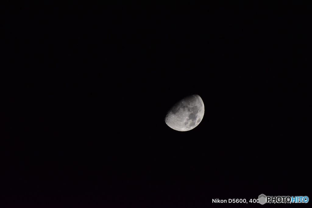 タムロン18〜400mm試し撮り