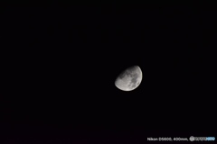 タムロン18〜400mm試し撮り