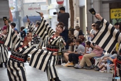 高知 よさこい祭り2017