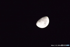 タムロン18〜400mm試し撮り