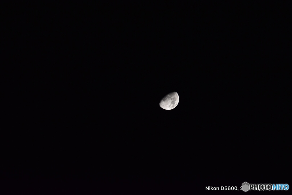 タムロン18〜400mm試し撮り