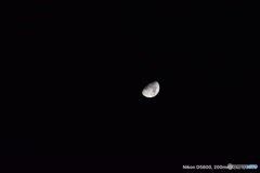 タムロン18〜400mm試し撮り