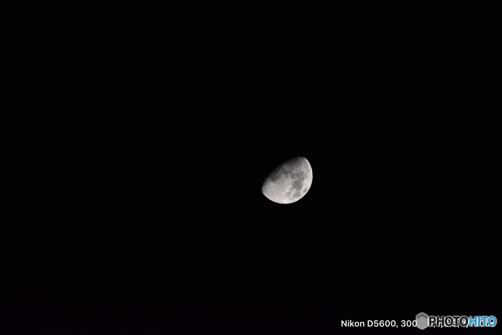 タムロン18〜400mm試し撮り