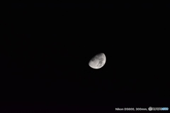 タムロン18〜400mm試し撮り