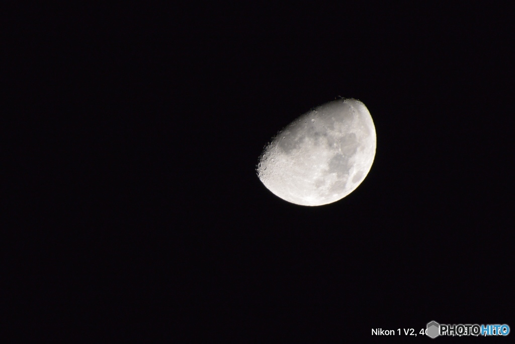 タムロン18〜400mm試し撮り