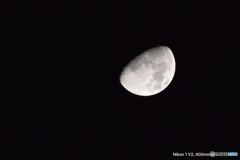 タムロン18〜400mm試し撮り