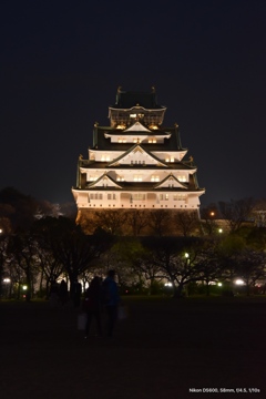 大坂城ライトアップ桜