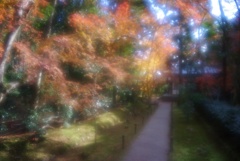 竹の寺地蔵院の紅葉
