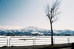山形の風景