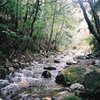 愛宕山の小川