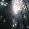 霧の愛宕山