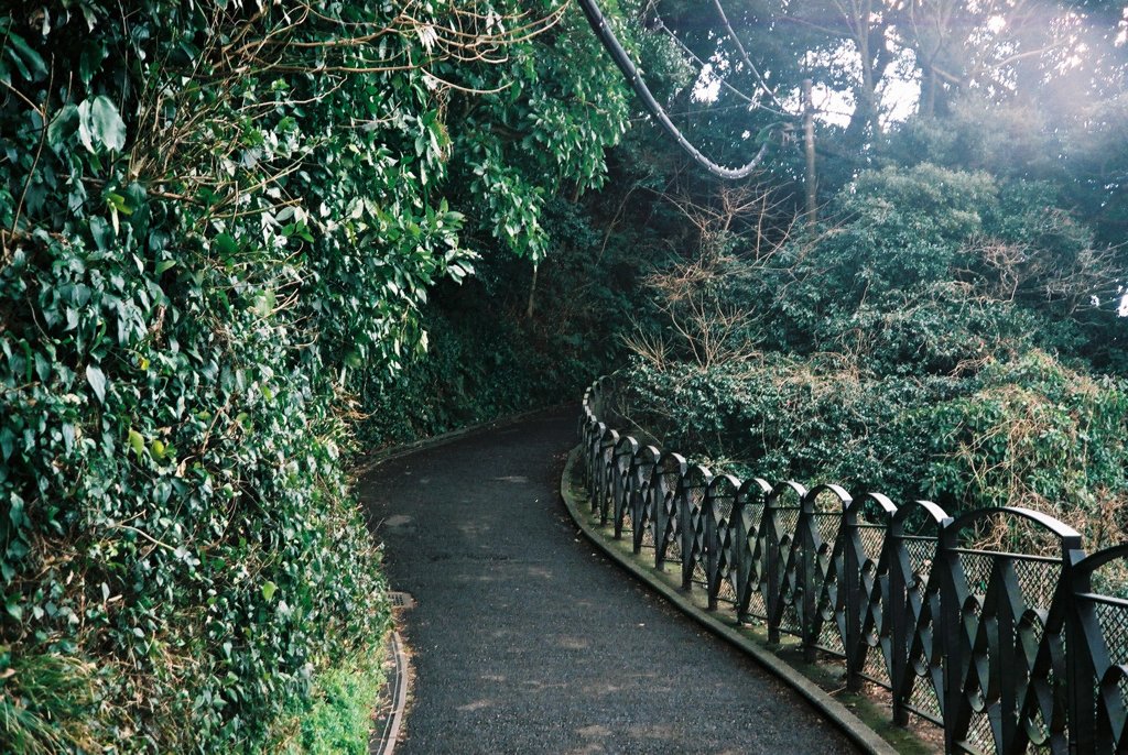 江ノ島の裏道