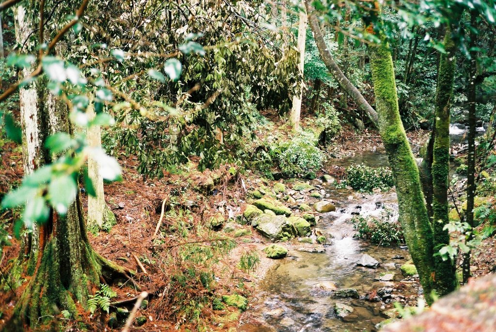 京都 愛宕山 宇津峡から登山