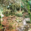 京都 愛宕山 宇津峡から登山
