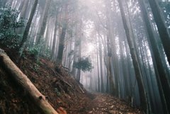 霧の愛宕山