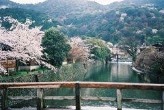 春の京都 嵐山