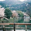 春の京都 嵐山