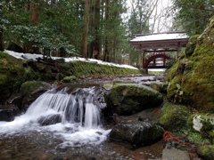 新潟県西蒲原郡弥彦村　弥彦神社　2017/1/22
