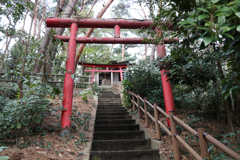 新潟市東区　じゅんさい池公園　2017/2/19