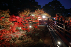 新潟県西蒲原郡弥彦村　弥彦公園