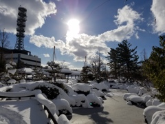 新潟市中央区　鳥屋野潟公園　2017/1/15