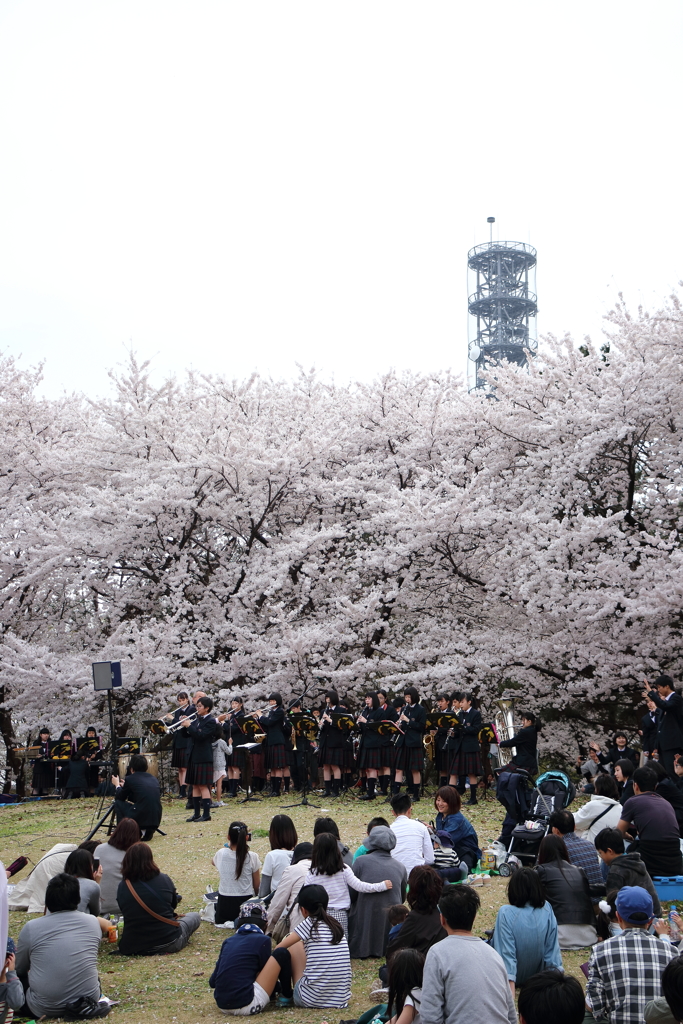 新潟市中央区　鳥屋野潟公園　2017/4/16