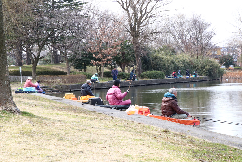 新潟市江南区　北山ノ池公園　2017/3/6