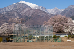 学び舎の春