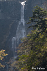 霞む大滝