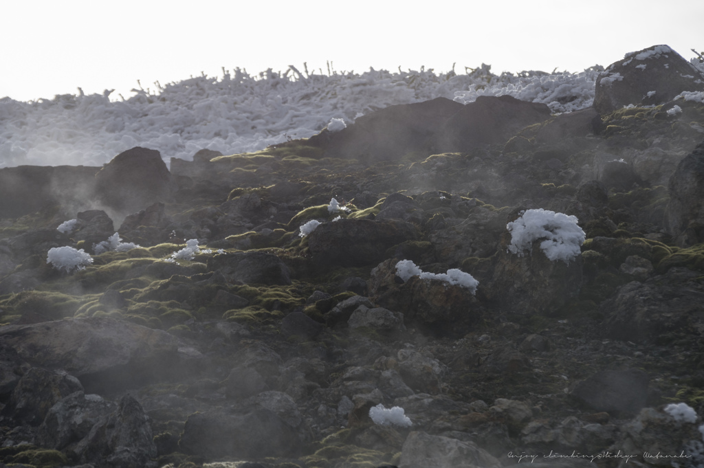 苔むす活火山、焼岳の稜線