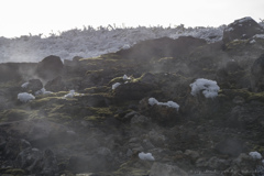 苔むす活火山、焼岳の稜線