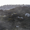 苔むす活火山、焼岳の稜線