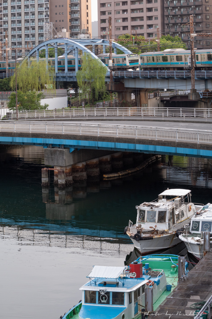 大岡川の河口