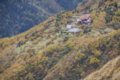 黄葉に包まれて