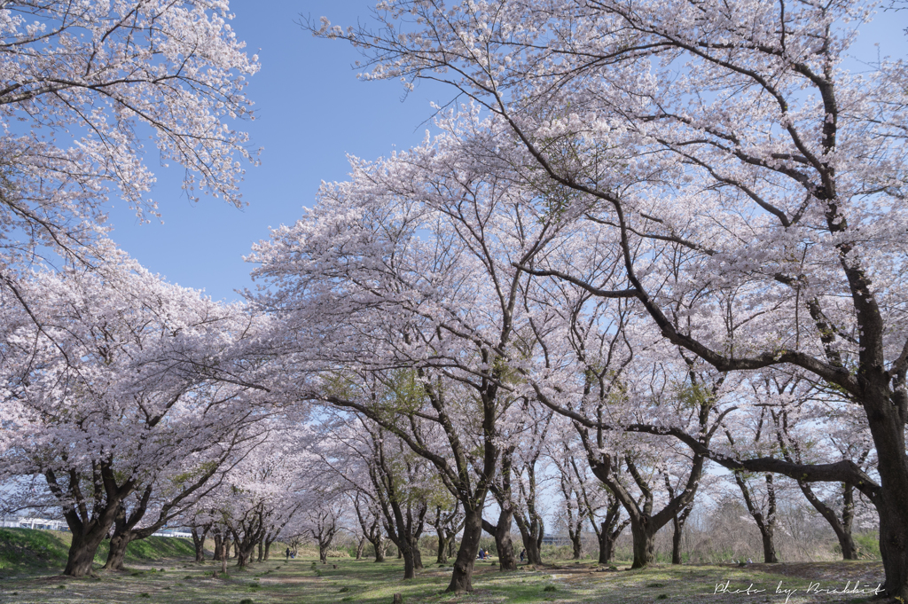 記憶の中の風景
