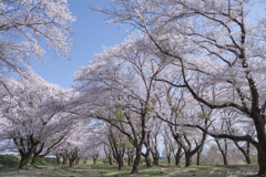 記憶の中の風景