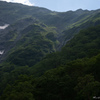 深い緑