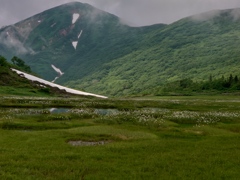 海の日の山